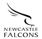falcons-mono.jpg